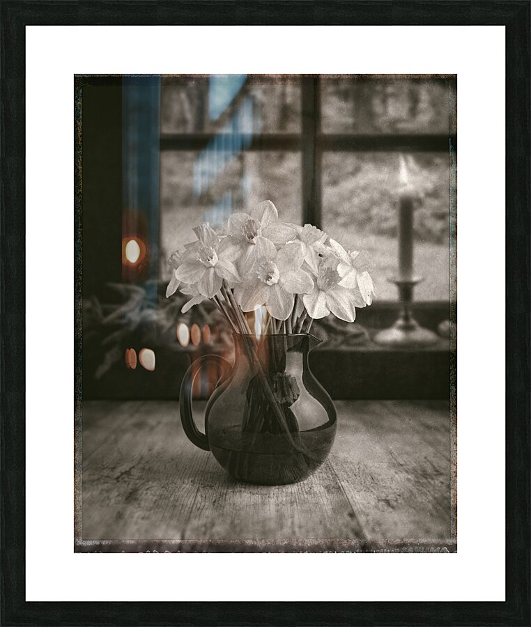 Daffodils Picture Frame print