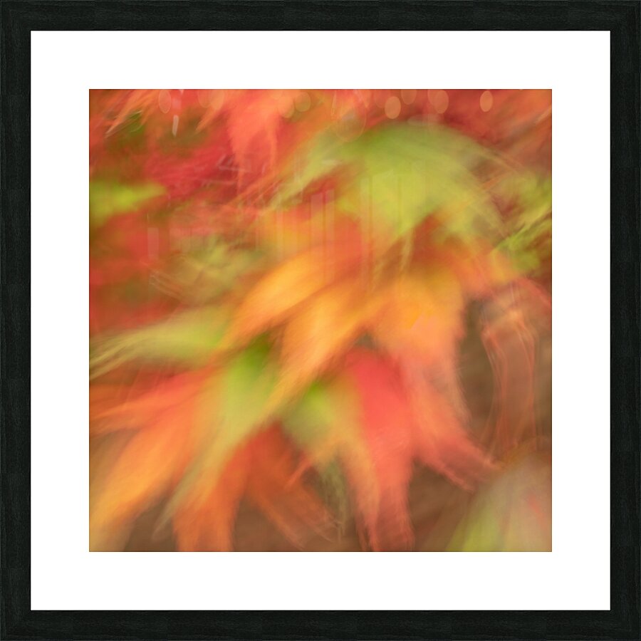Autumn Collage Picture Frame print