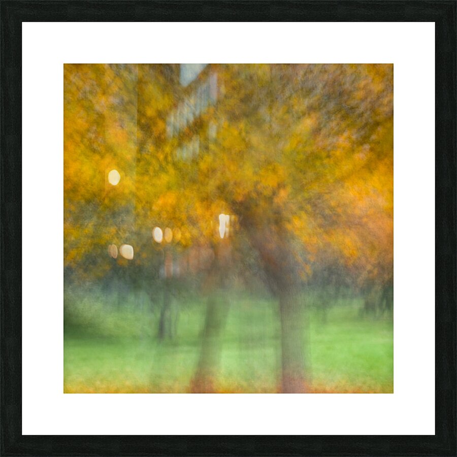 Autumn Shimmer Picture Frame print