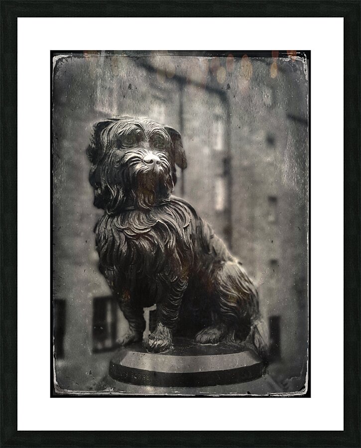 Greyfriars Bobby Picture Frame print