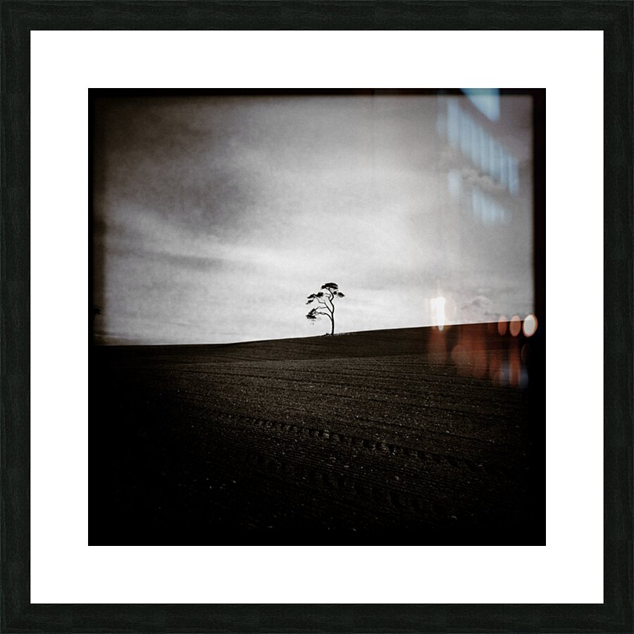 Field Tree Picture Frame print