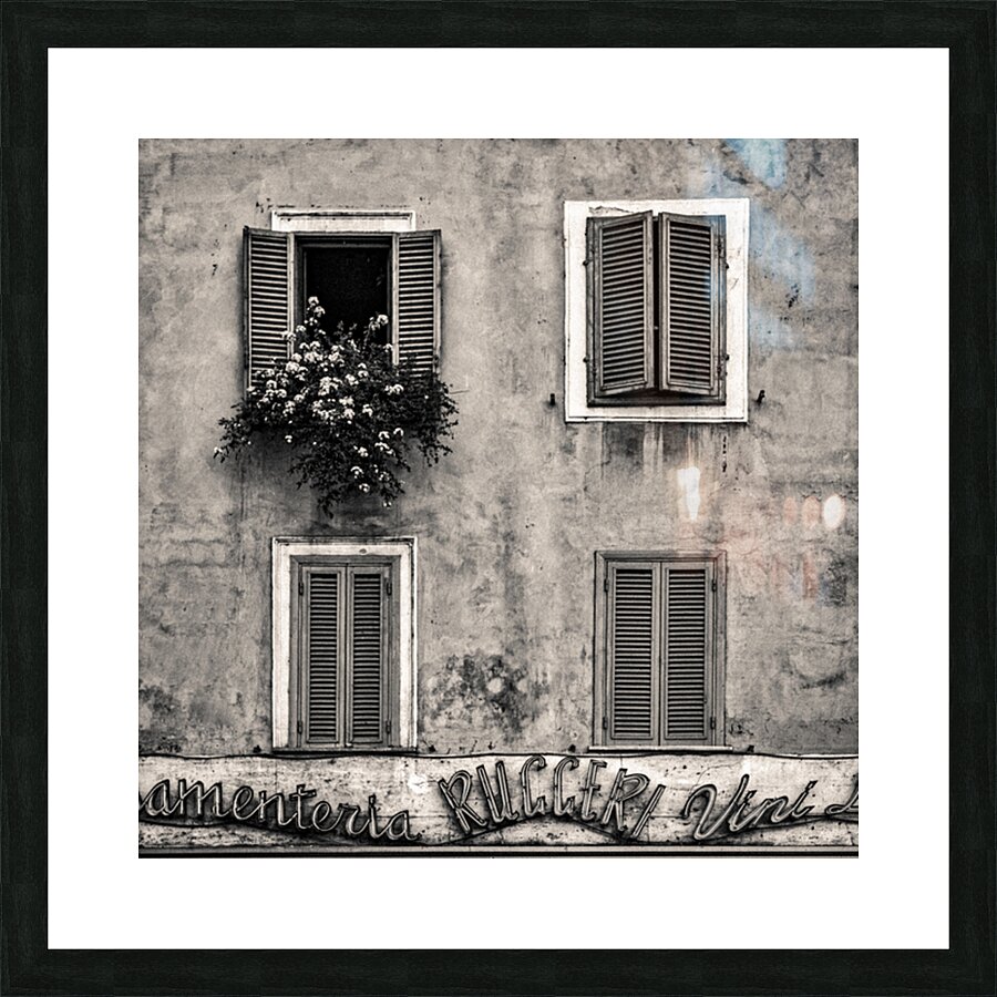 Four Windows Picture Frame print