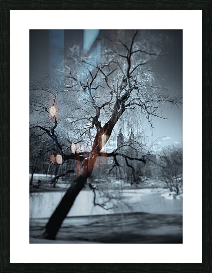 Winter in Central Park Picture Frame print