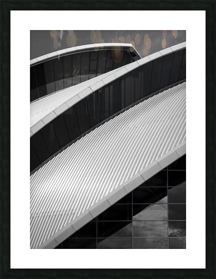 SEC Armadillo Picture Frame print