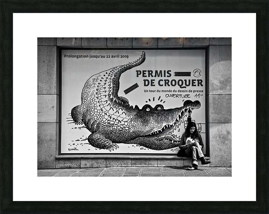 The Pen is Mightier than... Picture Frame print