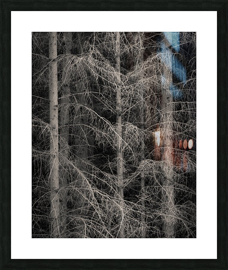 The Edge of Silence Impression et Cadre photo