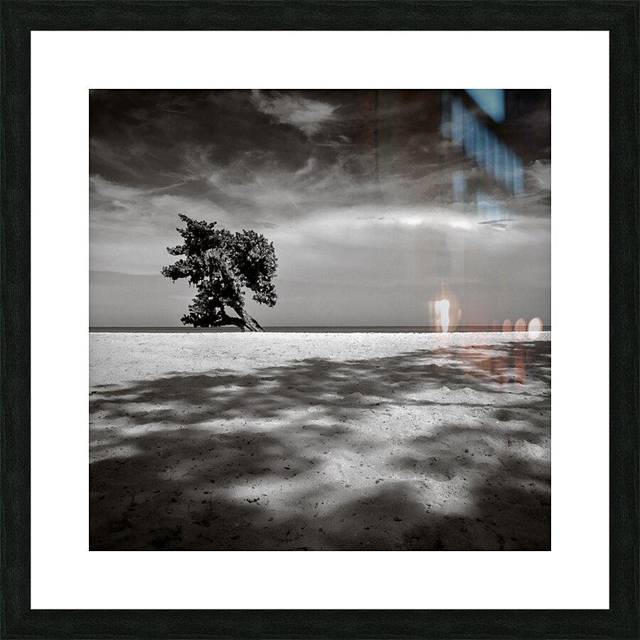 Beach Tree Picture Frame print