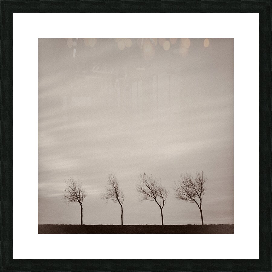 Four Trees Impression et Cadre photo