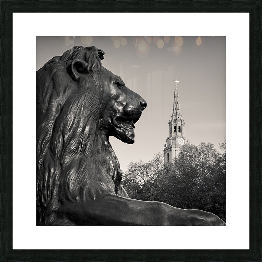 Trafalgar Square Lion Picture Frame print