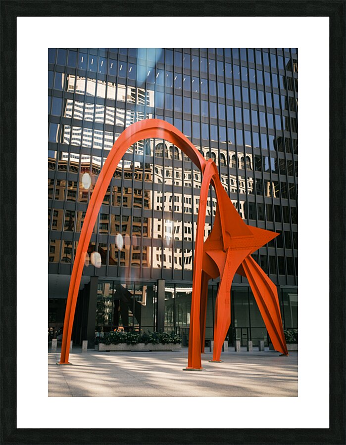 Red Flamingo Picture Frame print