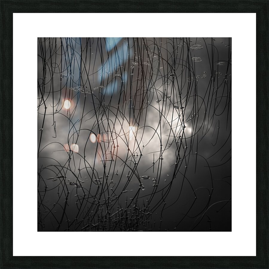 Reeds and Clouds Impression et Cadre photo