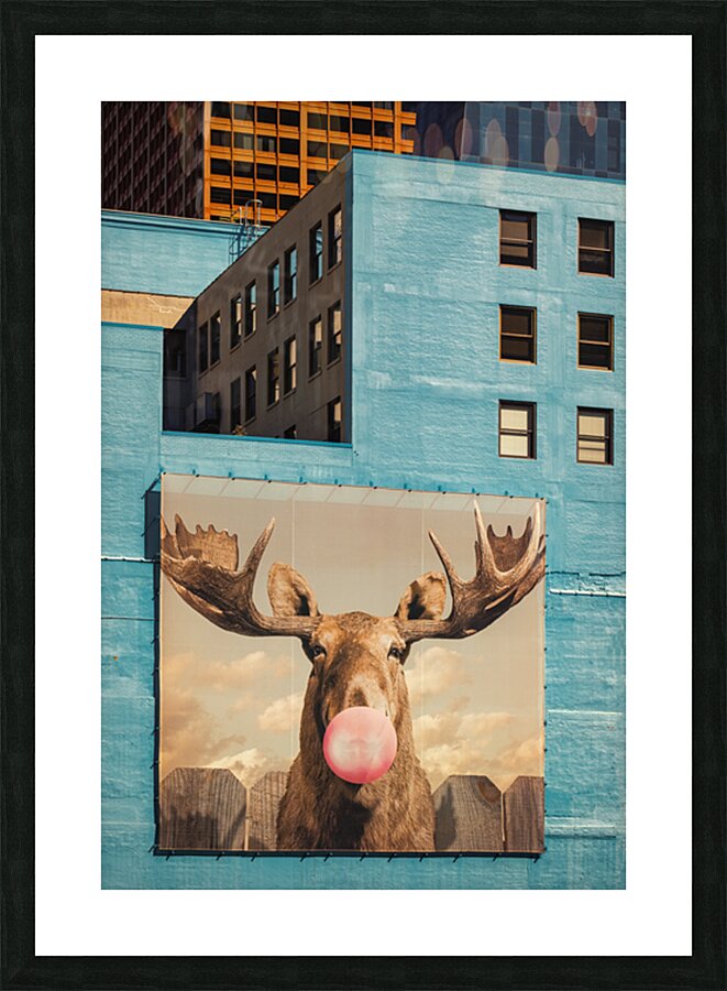 Chicago Bubblegum Moose Picture Frame print