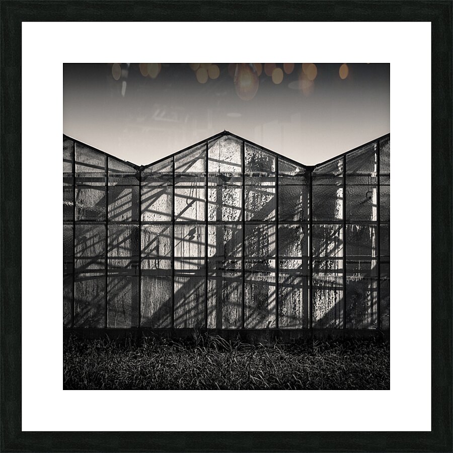 Greenhouse Shadows Picture Frame print