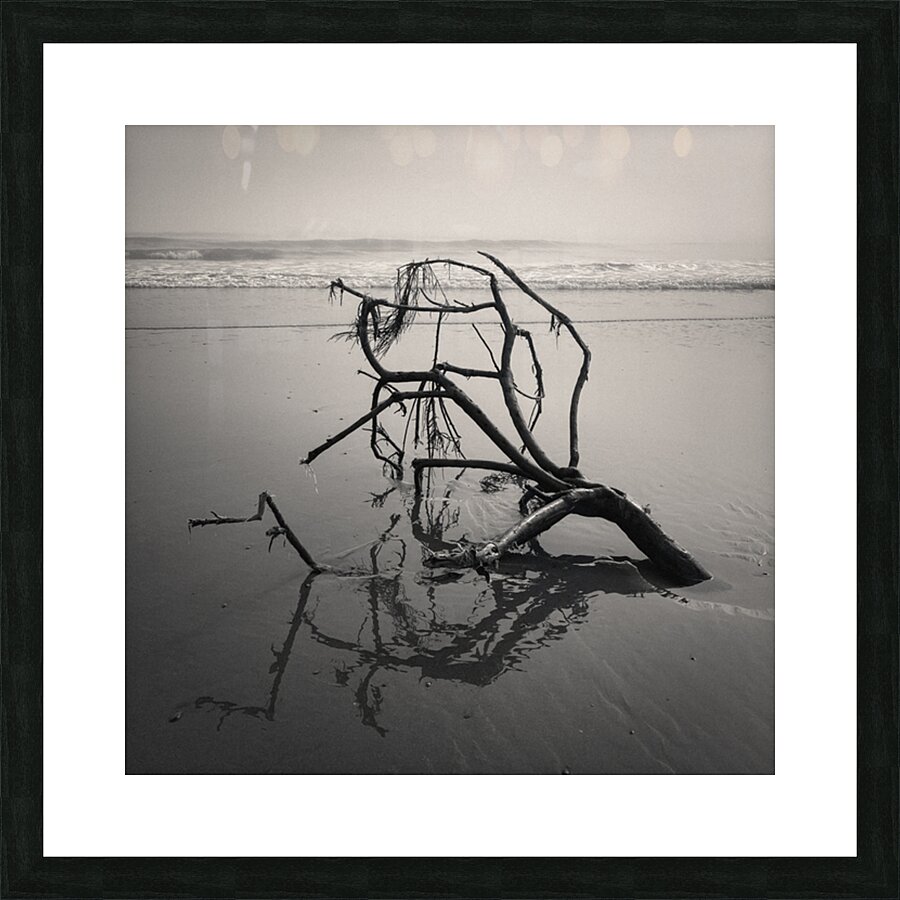 Washed Ashore Picture Frame print