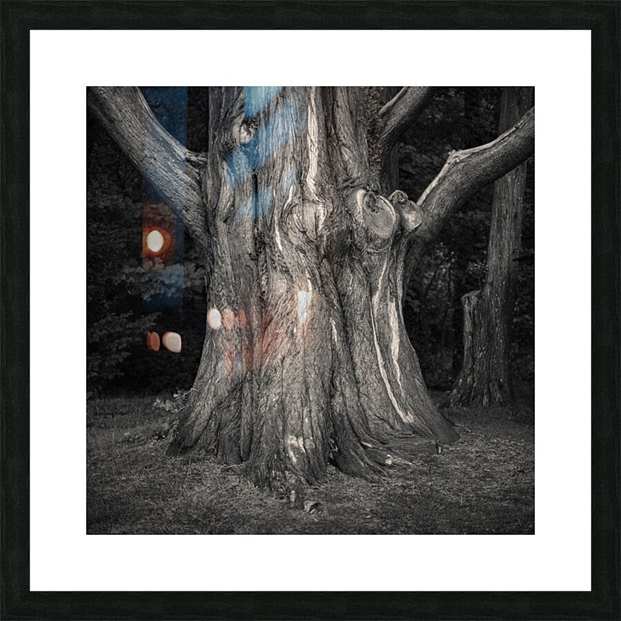 Plas Newydd Tree Impression et Cadre photo