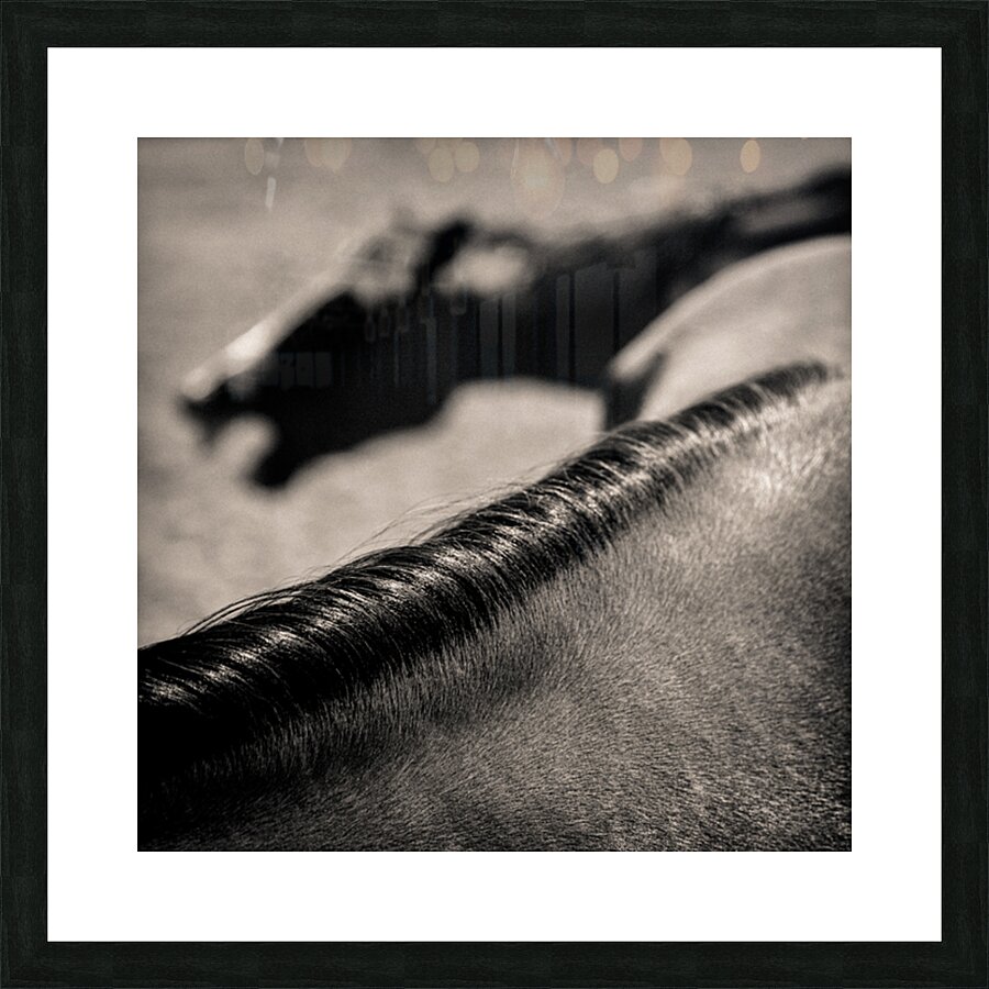 Horse Play Picture Frame print