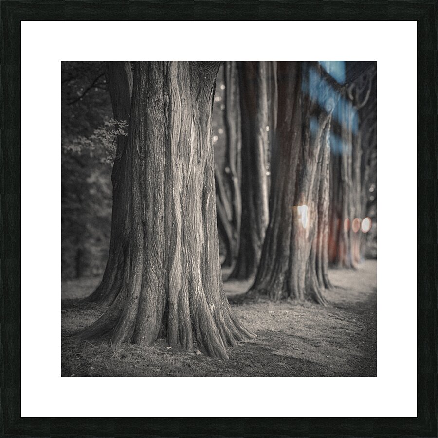 Plas Newydd Trees Picture Frame print