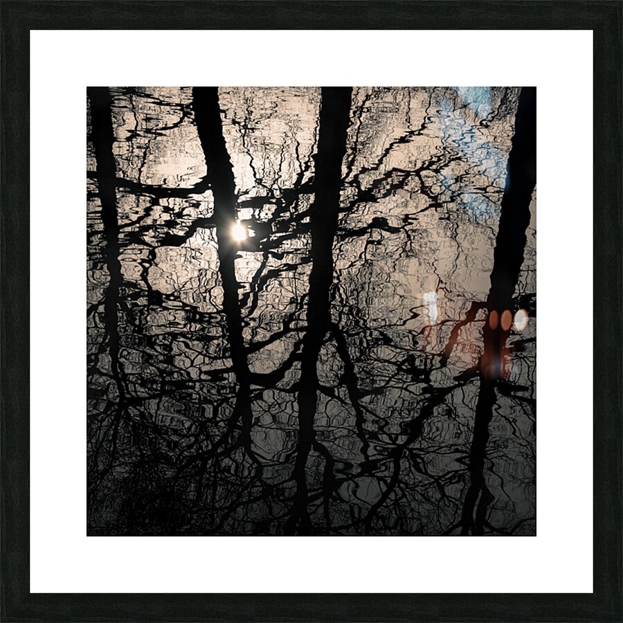 Woodland Waters Picture Frame print