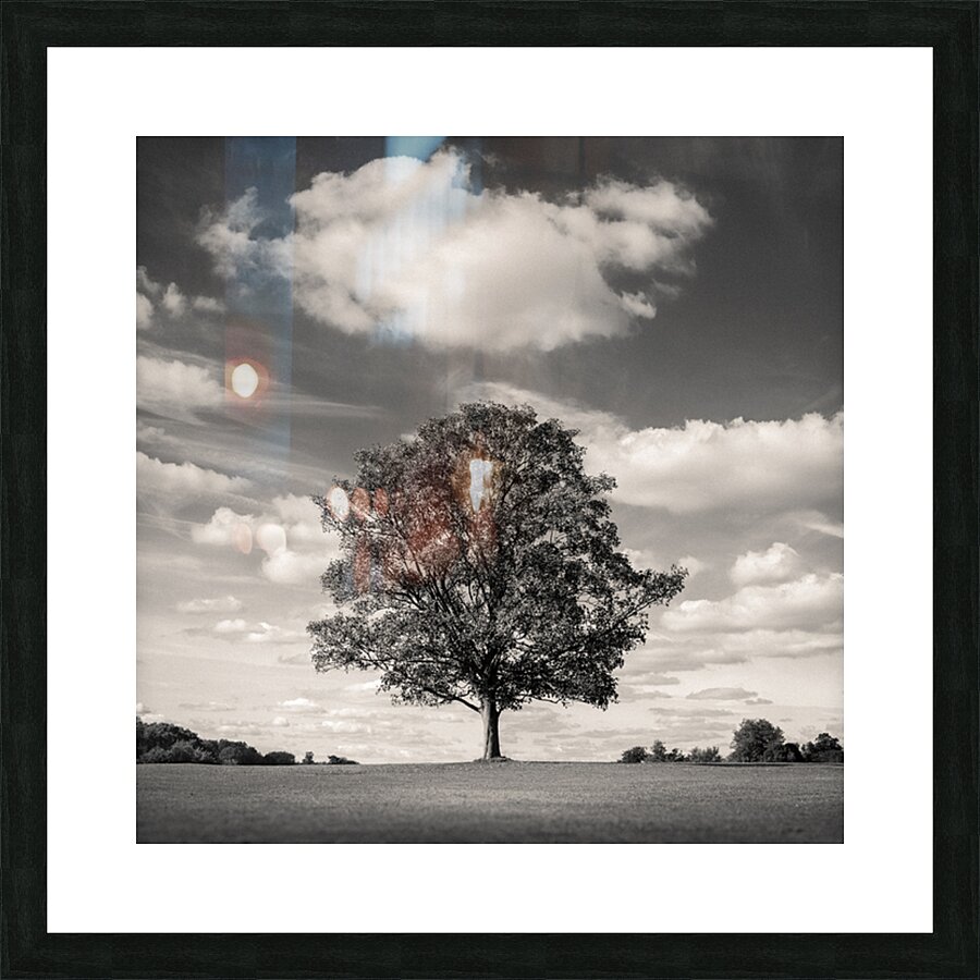 Burghley Oak Impression et Cadre photo