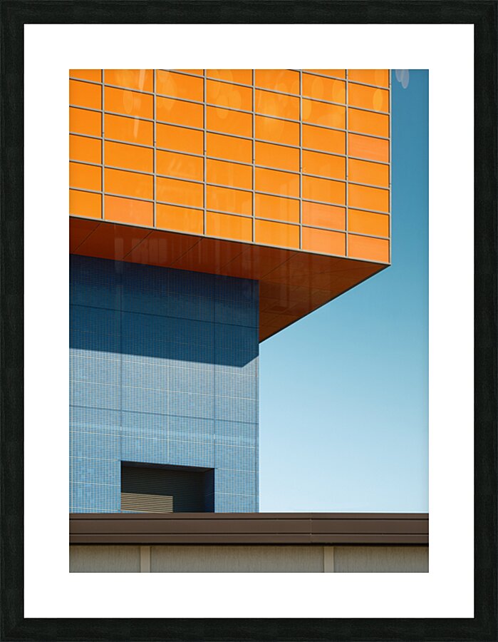 Osaka Aquarium Kaiyukan Picture Frame print