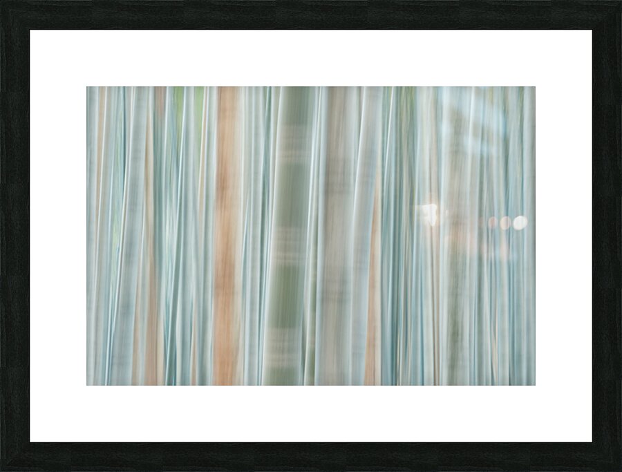 Bamboo Forest  Picture Frame print