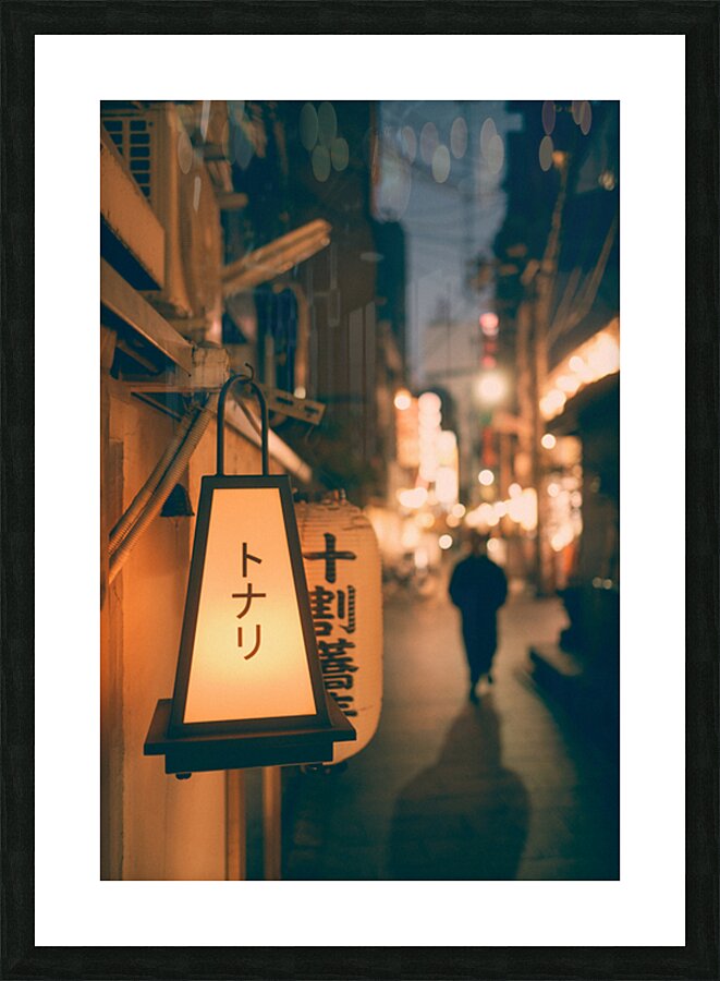 Backstreets of Osaka Picture Frame print