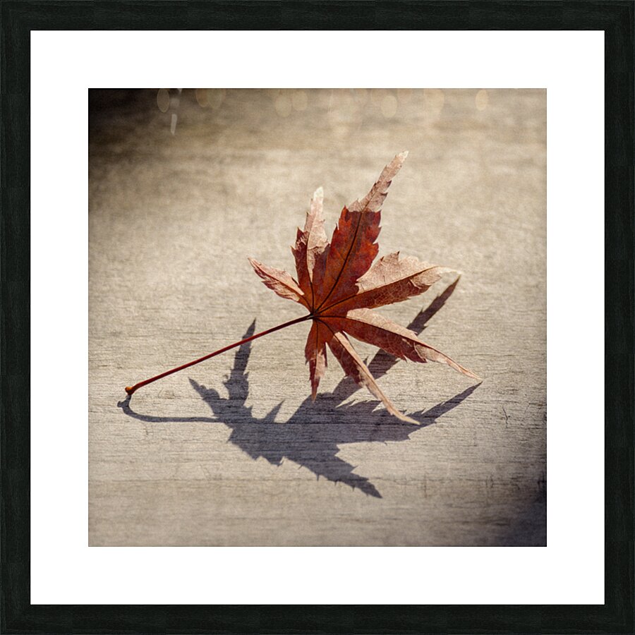 Fallen Beauty Picture Frame print