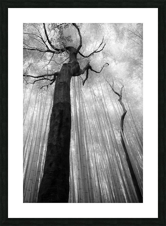 Fractured Rhythm Picture Frame print