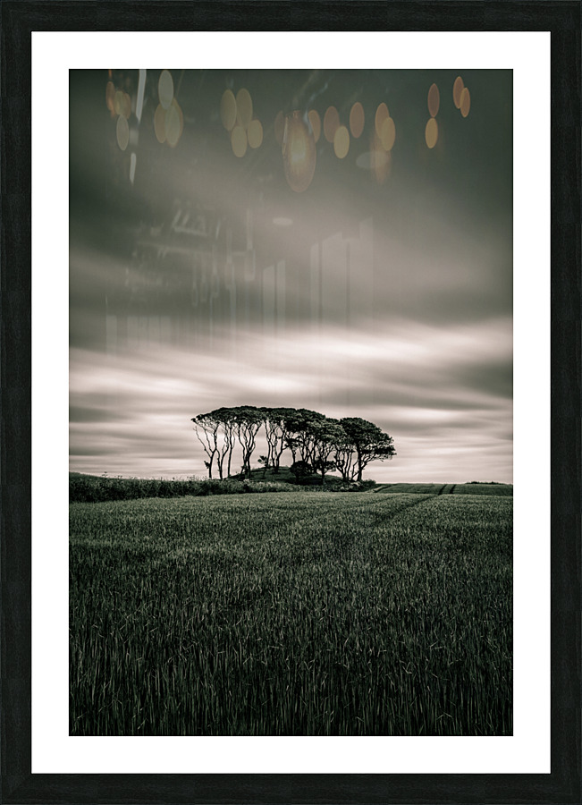 Crawton Copse Impression et Cadre photo