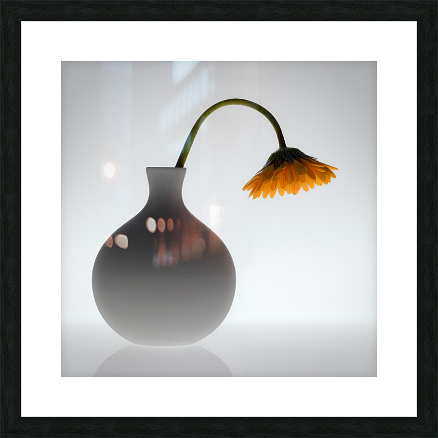 Wilt Impression et Cadre photo