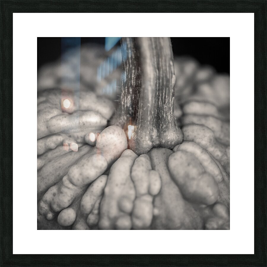 Knucklehead Pumpkin Picture Frame print