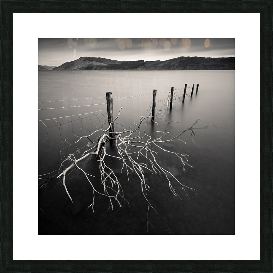 Stuck Picture Frame print