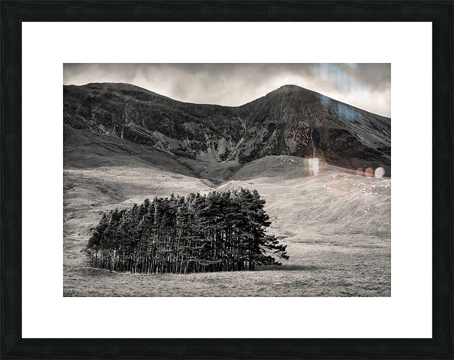 Torridon Trees Picture Frame print