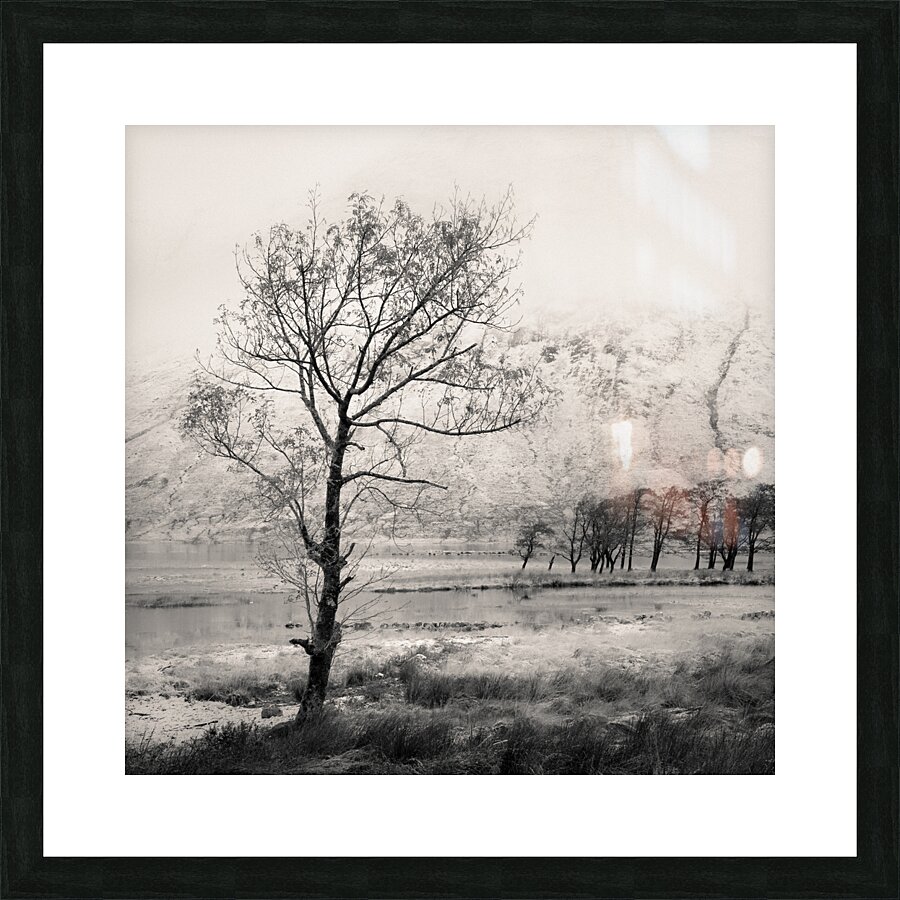 Loch Etive Tree Picture Frame print