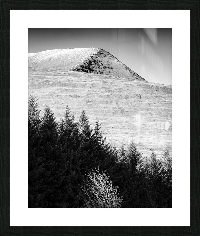 Mull Trees and Peak Picture Frame print