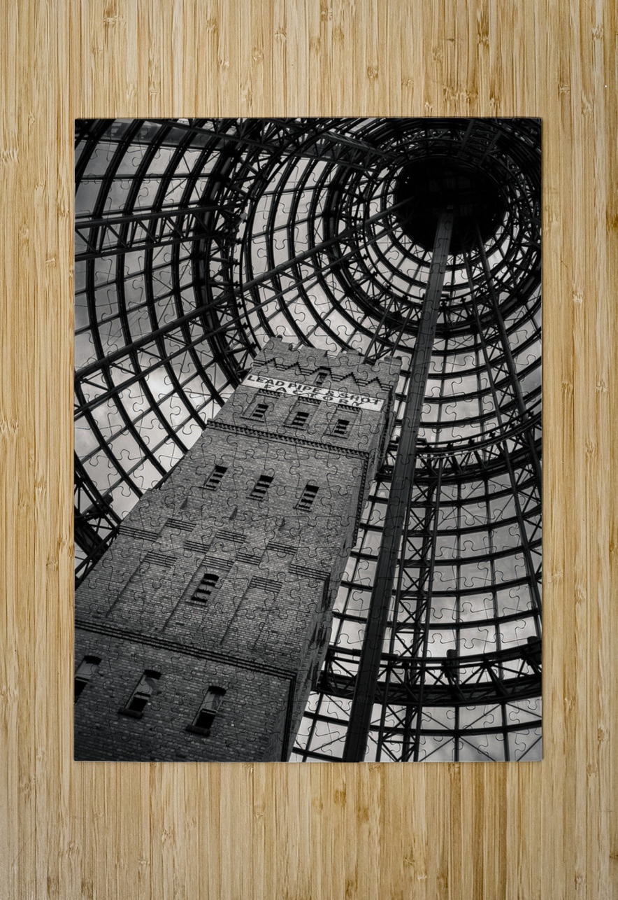Coops Shot Tower Dave Bowman Puzzle printing