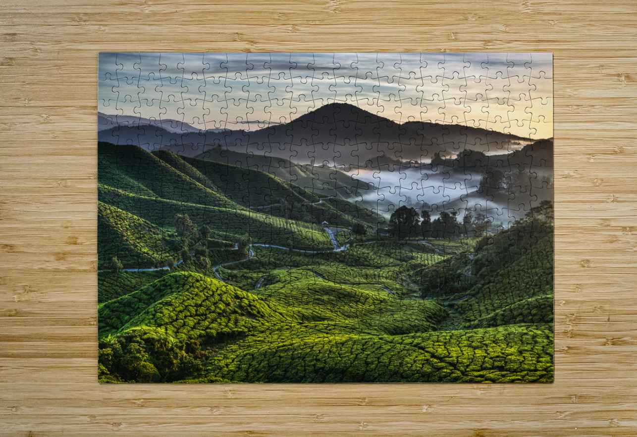 Tea Plantation at Dawn Dave Bowman Puzzle printing