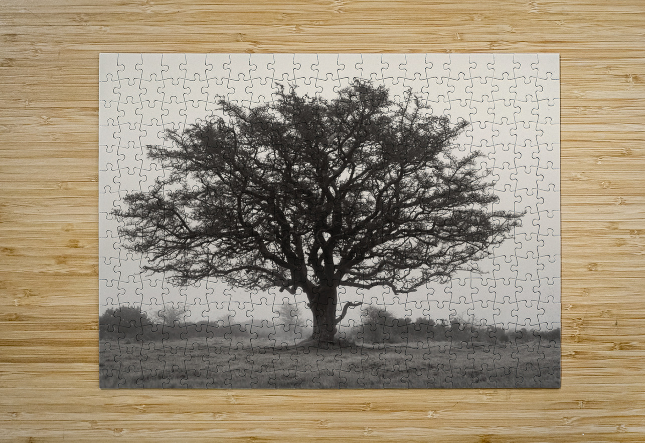 Exmoor Tree Dave Bowman Puzzle printing
