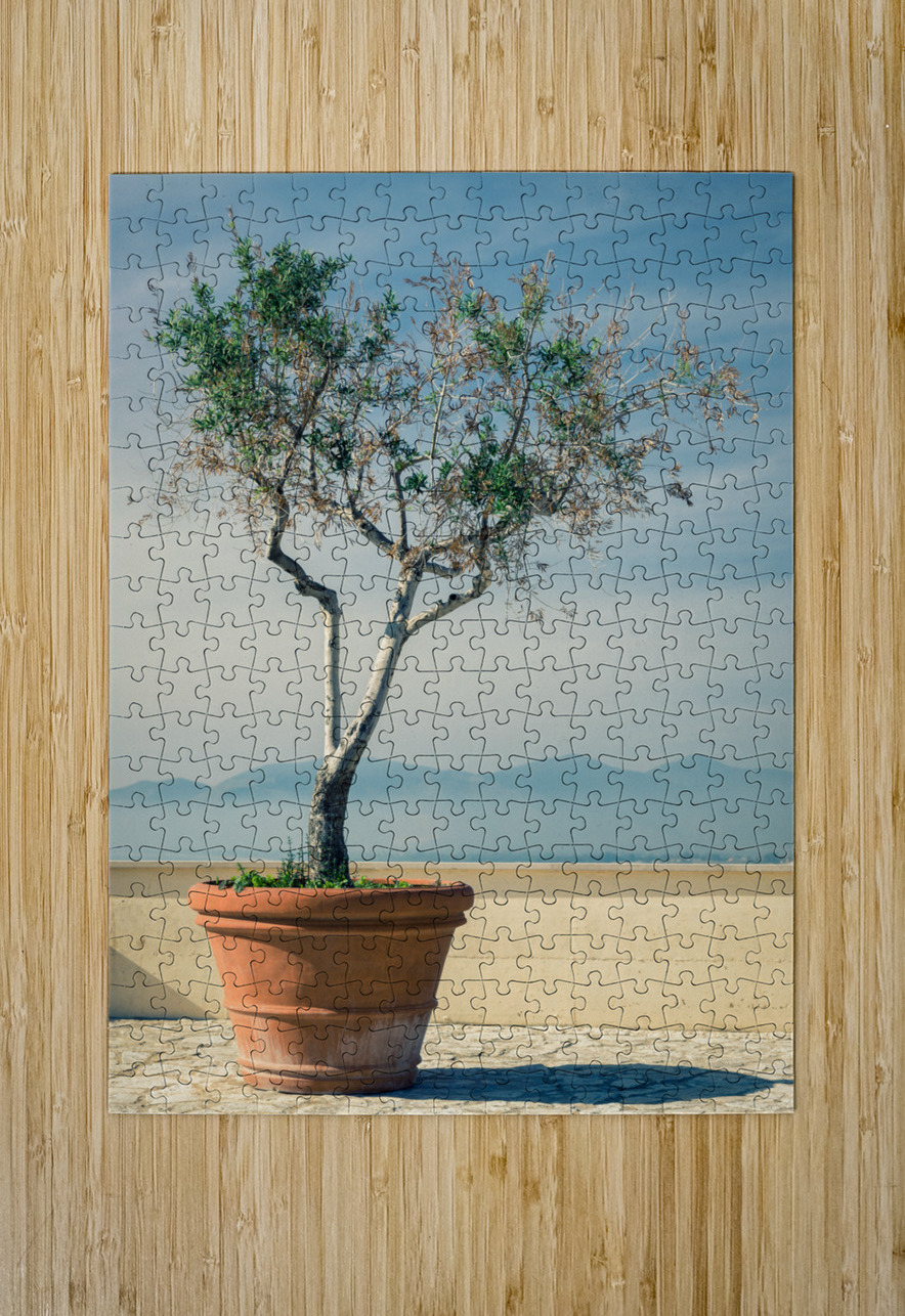 Olive Tree Dave Bowman Puzzle printing