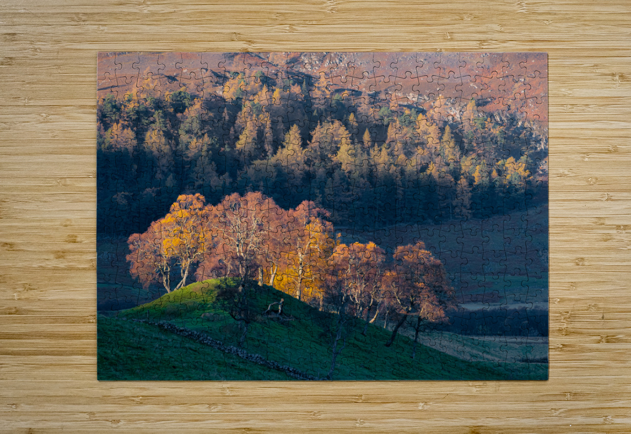 Autumn in Glenshee Dave Bowman Puzzle printing