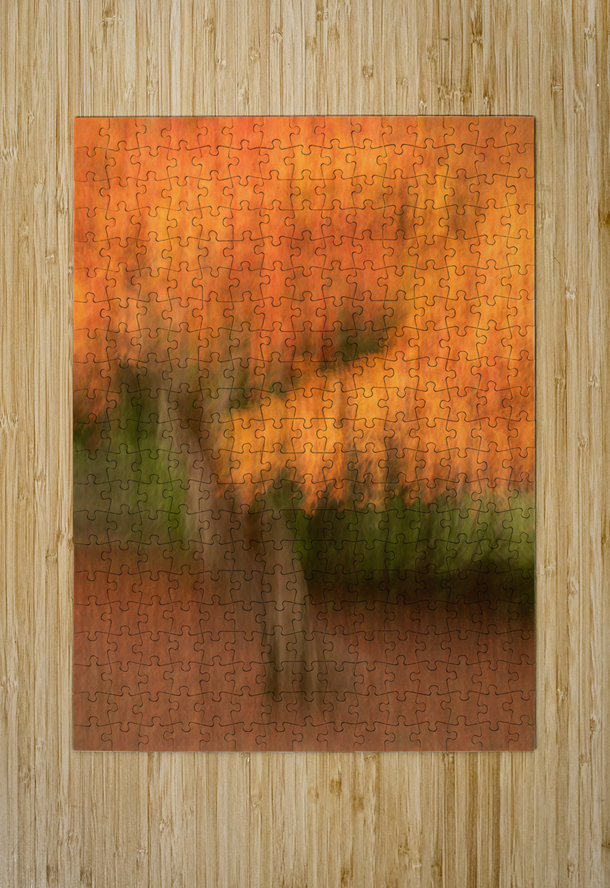 Autumn in Motion Dave Bowman Puzzle printing