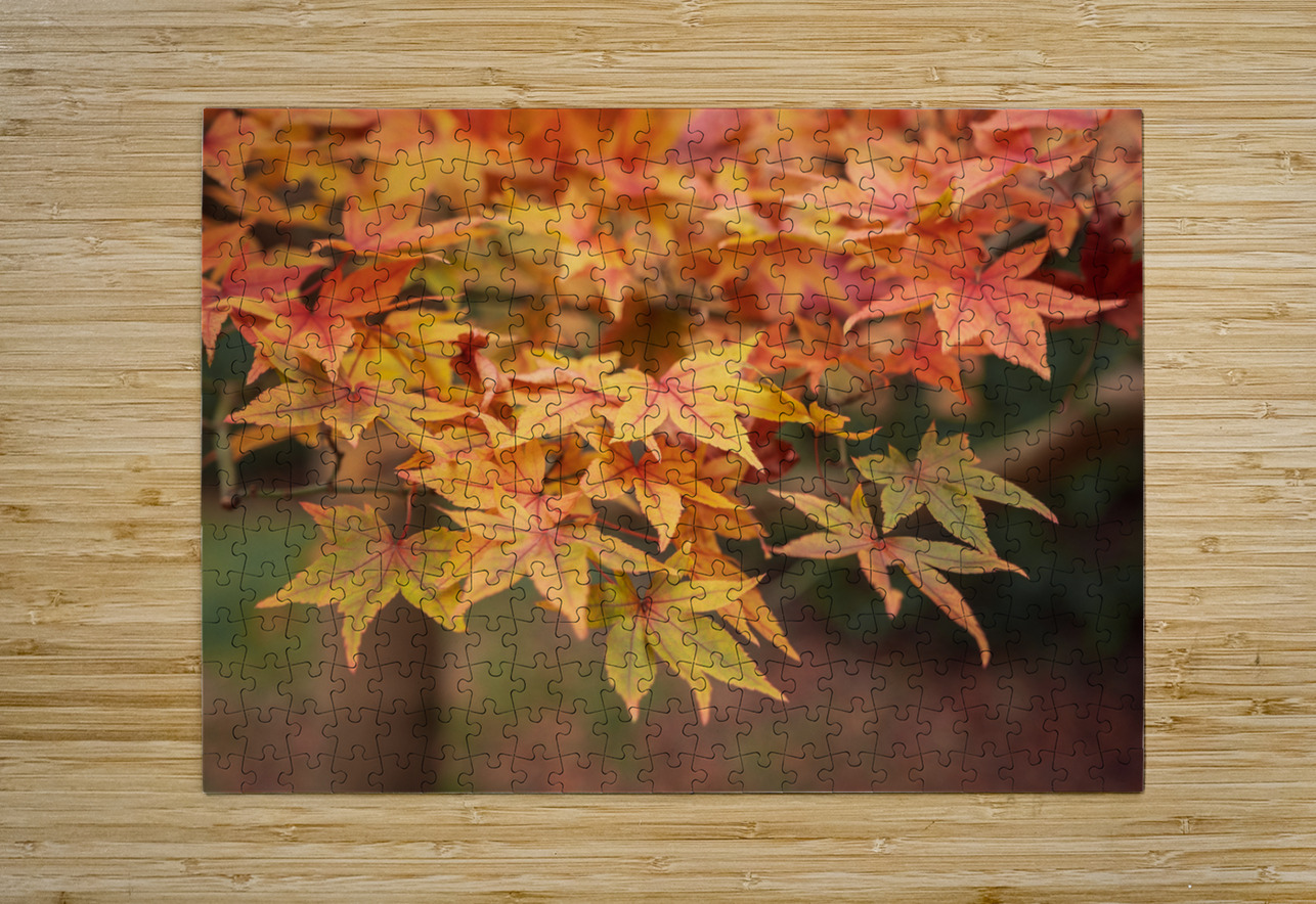Turning Seasons Dave Bowman Puzzle printing