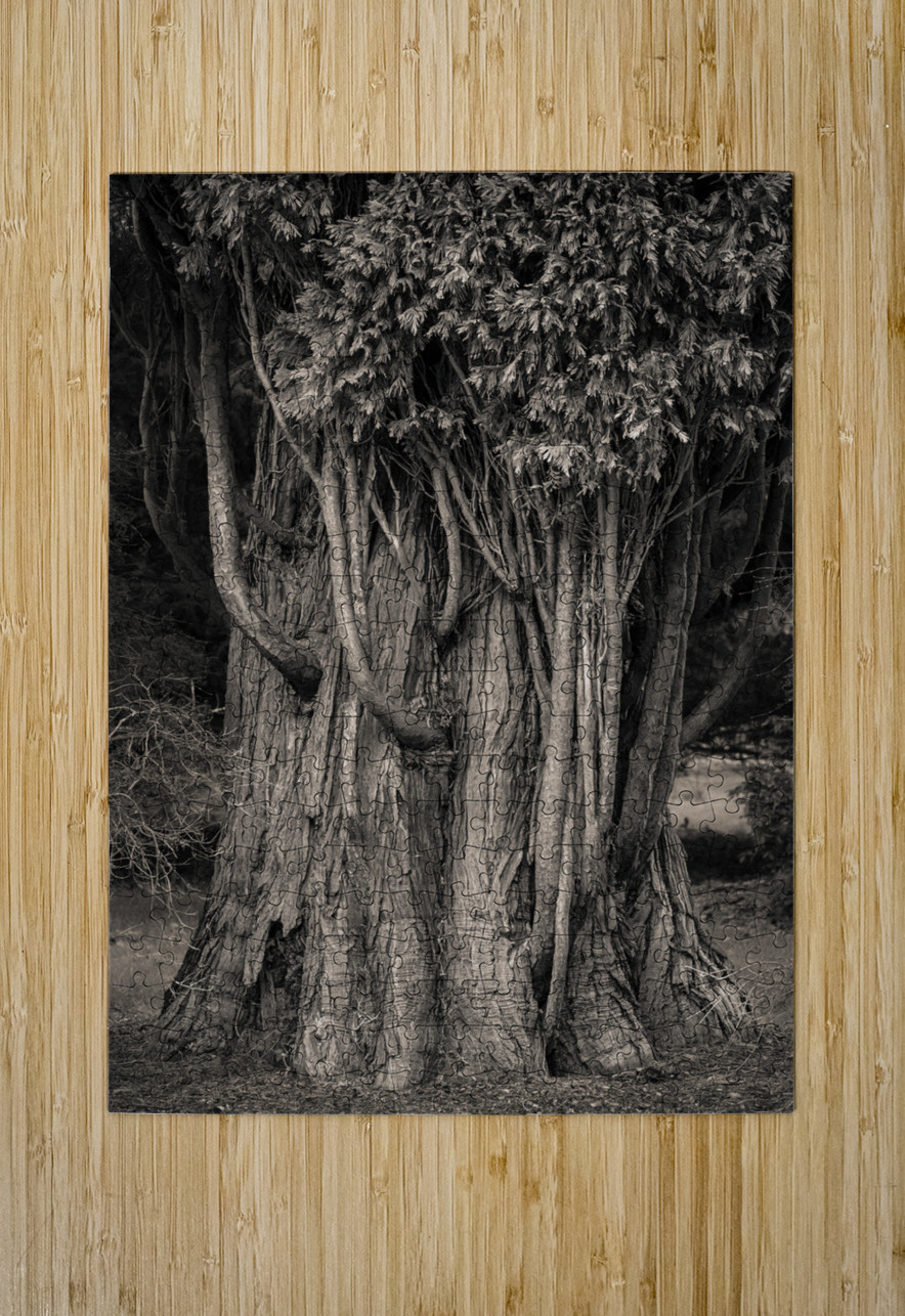 Incense Cedar Dave Bowman Puzzle printing