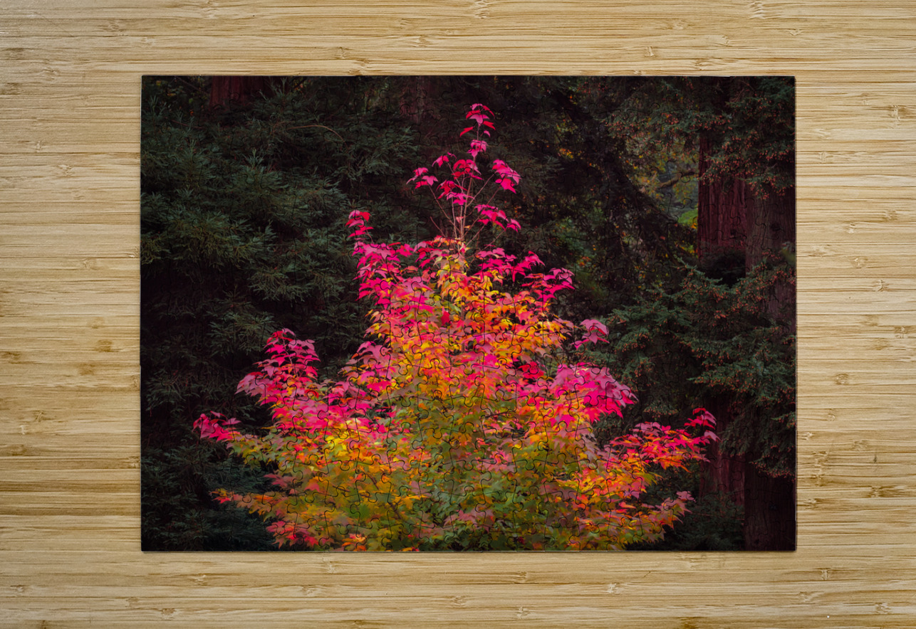 Fire Tree Dave Bowman Puzzle printing