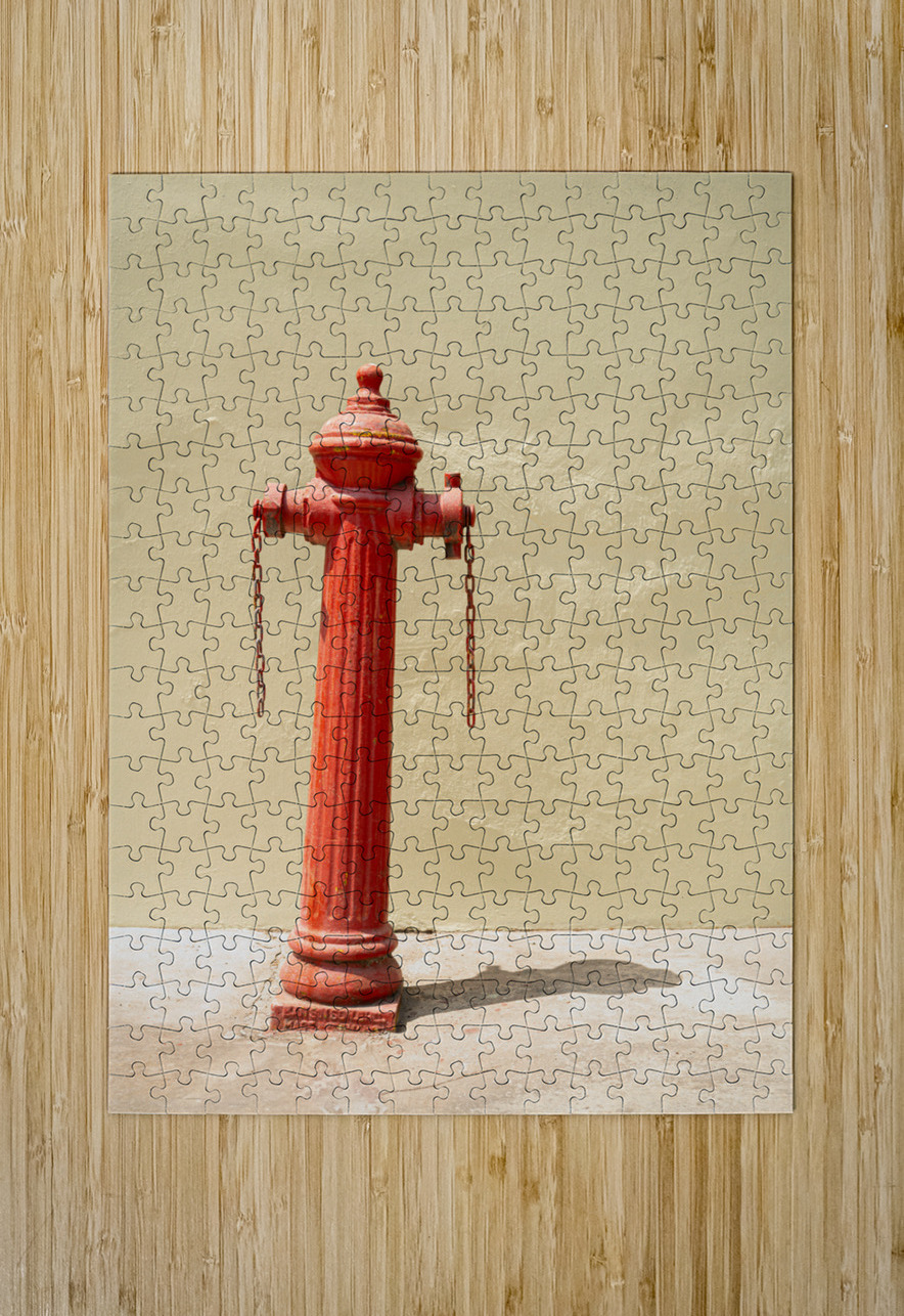 Penang Fire Hydrant Dave Bowman Puzzle printing