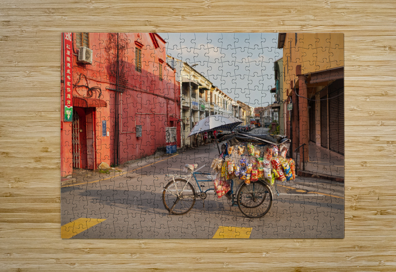 Street Vendor Bike Dave Bowman Puzzle printing