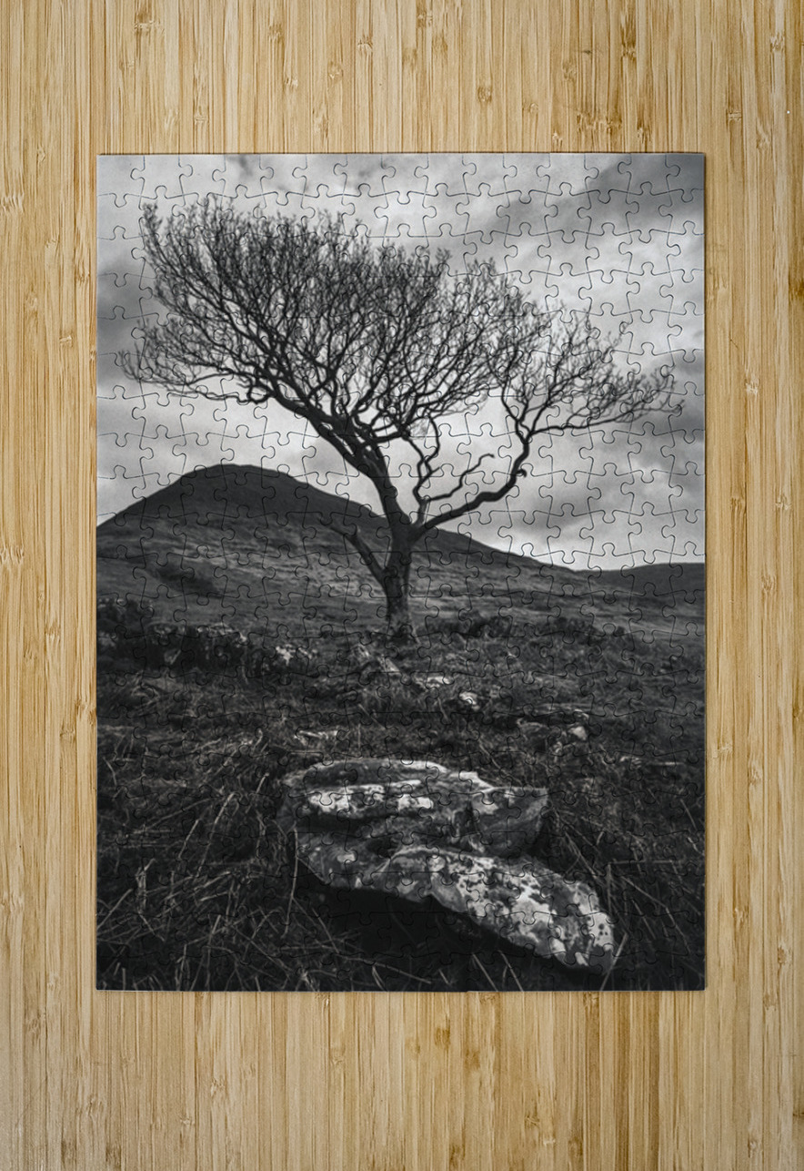 Mull Solitude Dave Bowman Puzzle printing