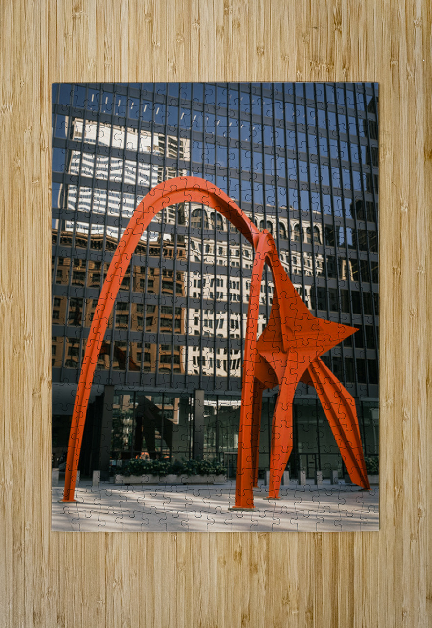 Red Flamingo Dave Bowman Puzzle printing