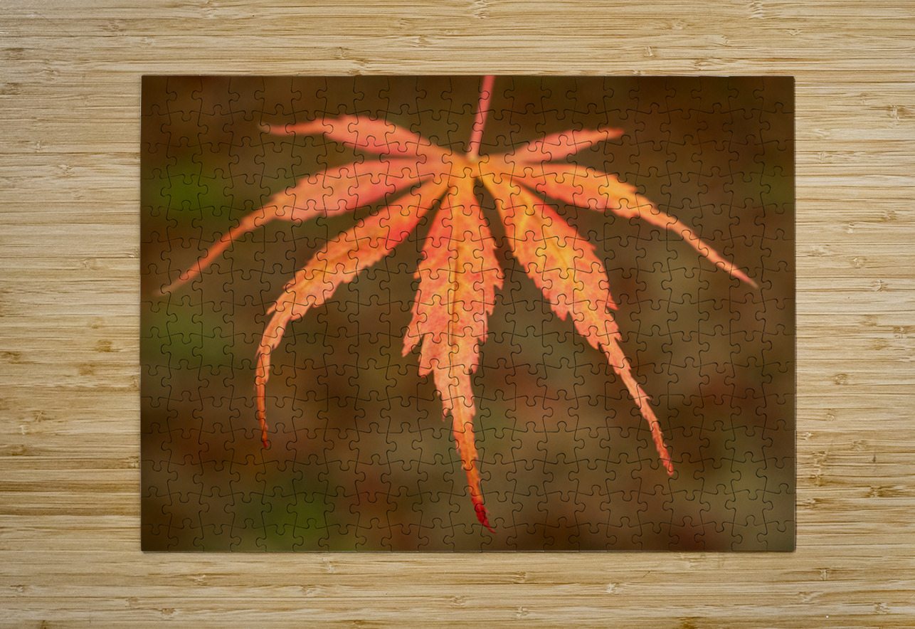 Japanese Maple Leaf Dave Bowman Puzzle printing