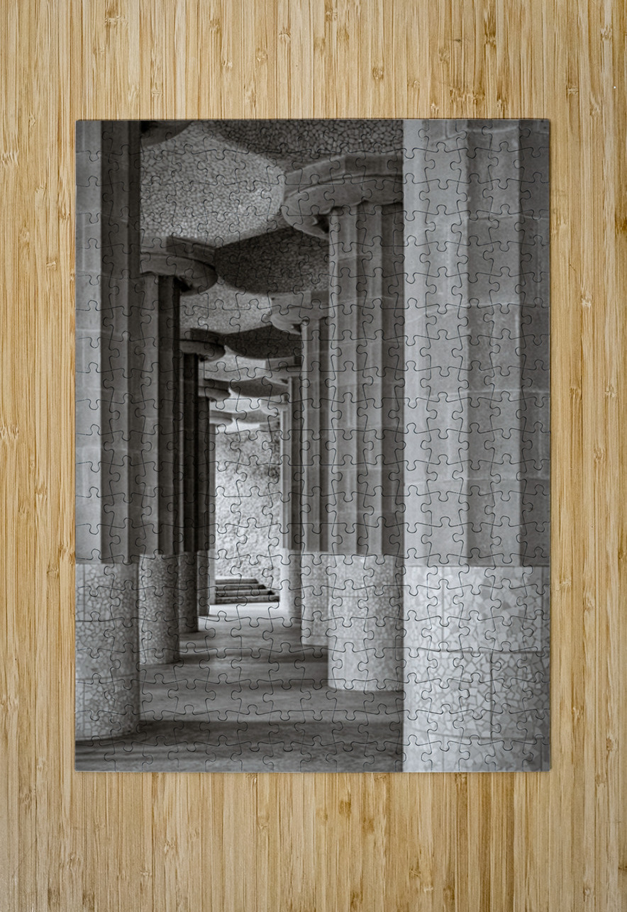 Between Pillars Dave Bowman Puzzle printing